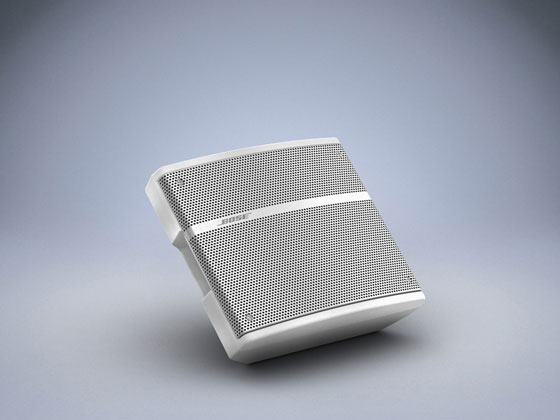 Bose310MP(yng)